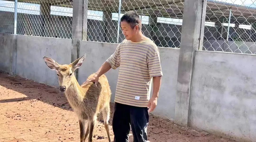 威尼斯登录官网